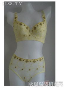 繽芬Bimfee內(nèi)衣 精致與舒適并存的精品之選